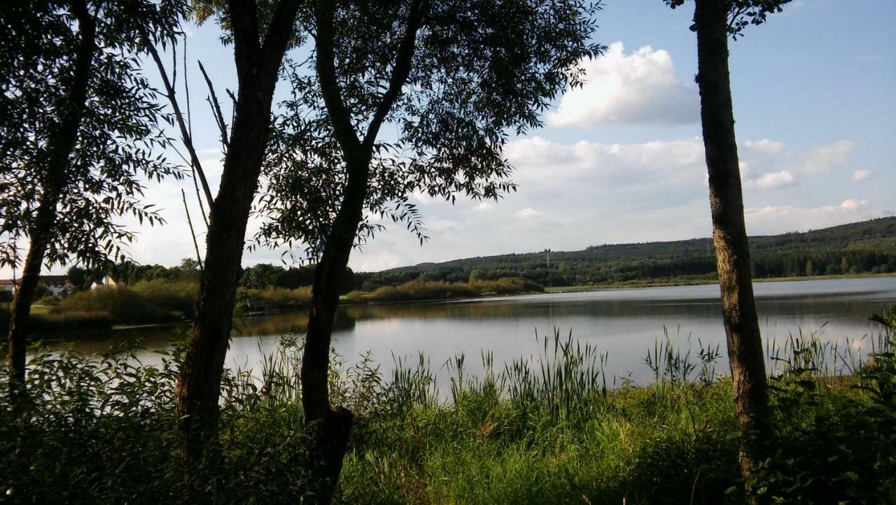 Ferienwohnung In Der Vulkaneifel Ulmen المظهر الخارجي الصورة