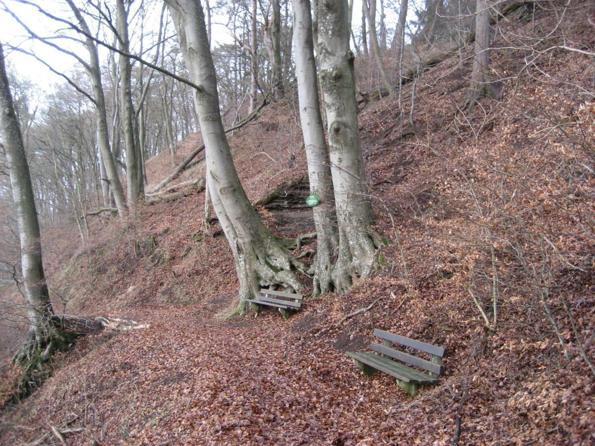 Ferienwohnung In Der Vulkaneifel Ulmen المظهر الخارجي الصورة